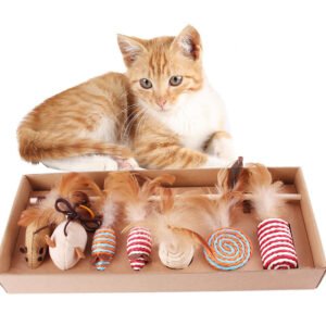 Home Cat with toys set of seven, baby kittin