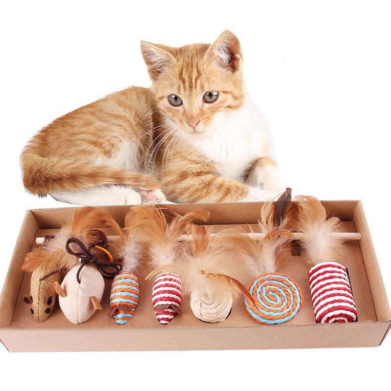ub0c74ac7593a4e2ea89f8a0cee9d99b3p Cat with toys set of seven, baby kittin